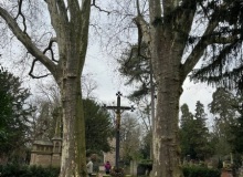 Alter Friedhof Bonn