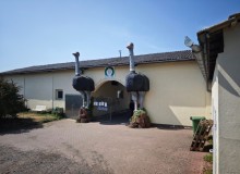 Puma_IMG_20260816_125540