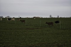 Rattenburg - Olpe Bilder von Frank Breuer und Klaus Peter Starkloff