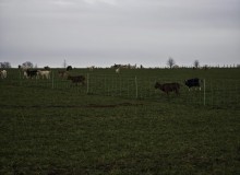 IMG_20260124_104030