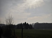 IMG_20260124_105827