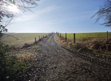 IMG_20260124_113546