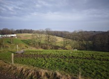 IMG_20260124_114323