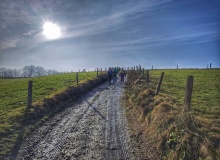 IMG_20260124_114345