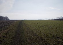 IMG_20260124_115033