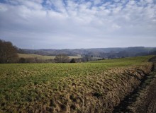 IMG_20260124_115637
