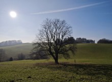 IMG_20260124_120253