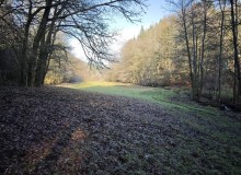 IMG_20260124_130235