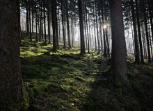 IMG_20260124_133151