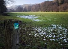 IMG_20260124_134118-scaled