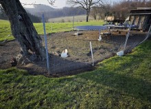 IMG_20260124_150353-1