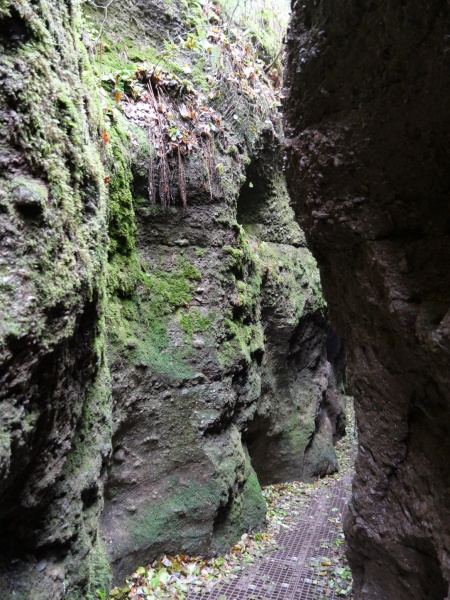 P1157938