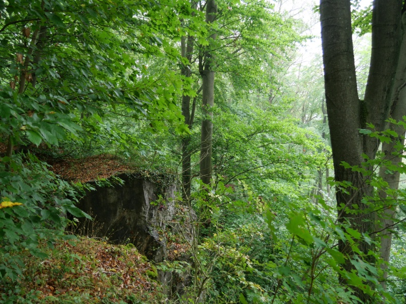 P1158139