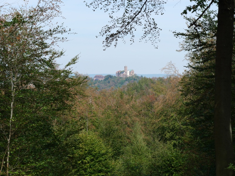 P1158226