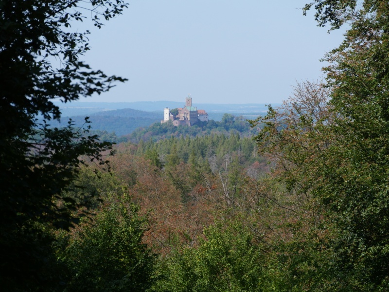 P1158241