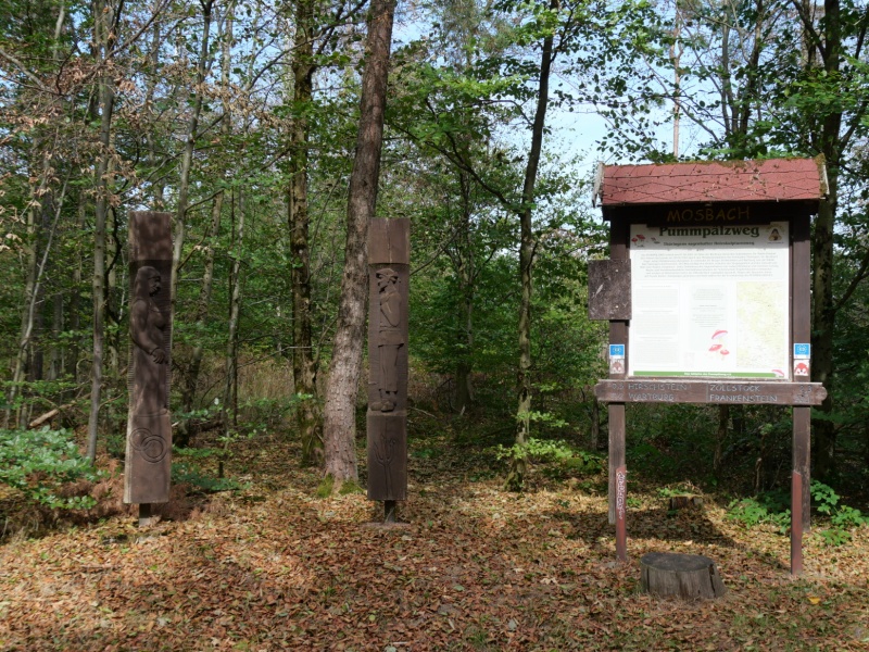 P1158253
