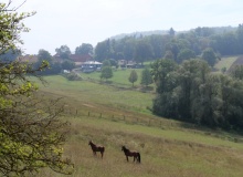 P1158166