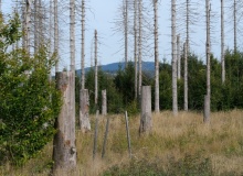 P1158271
