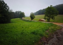 Puma_IMG_20260827_100501
