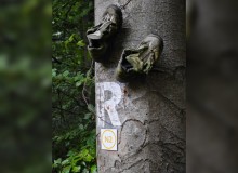 Puma_IMG_20260827_111028