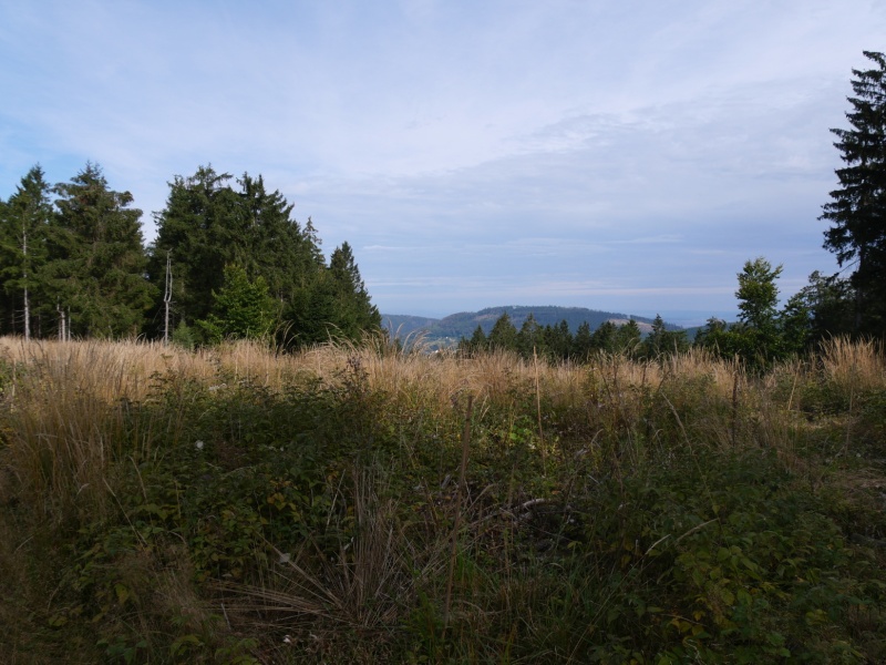 P1158316