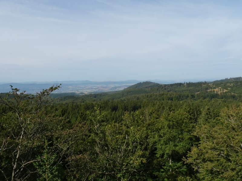 P1158328