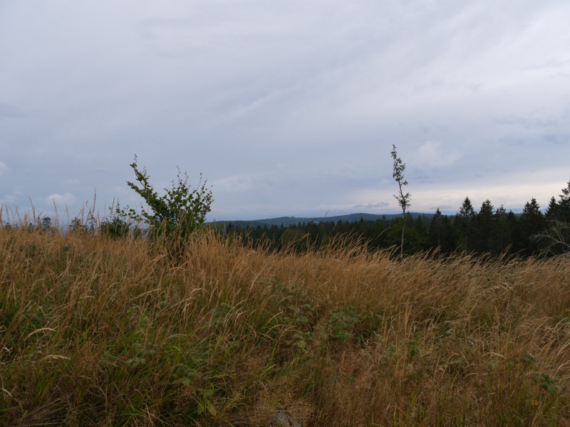 P1158388