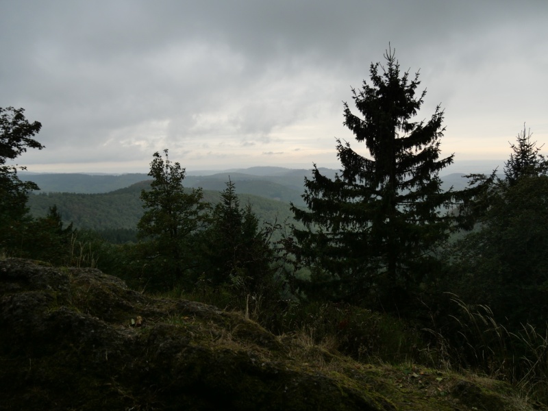P1158397