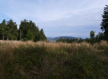 P1158316
