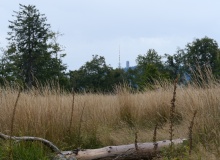 P1158370