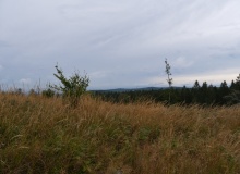 P1158388
