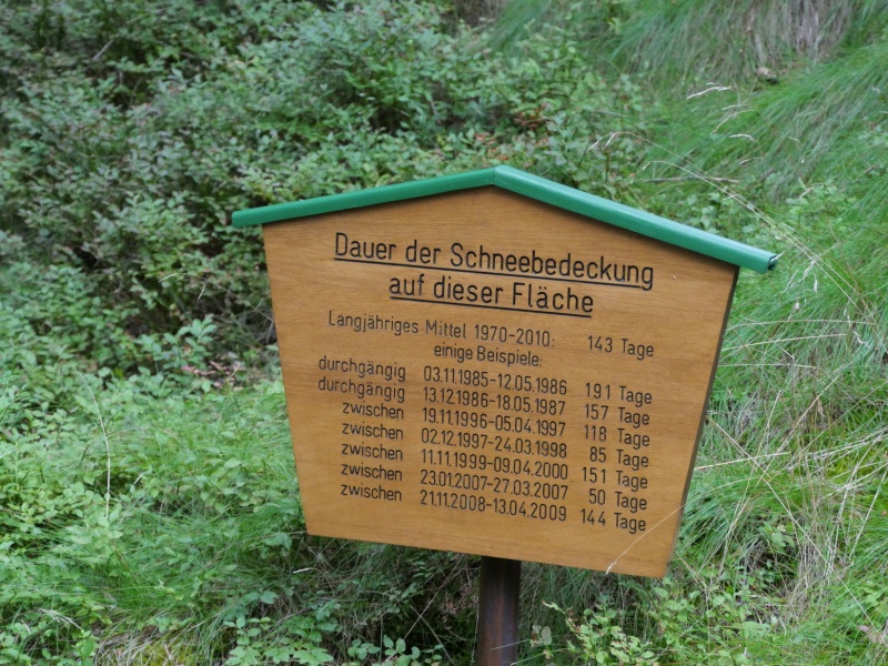 P1158676
