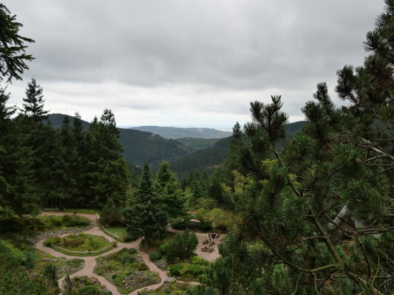 P1158685
