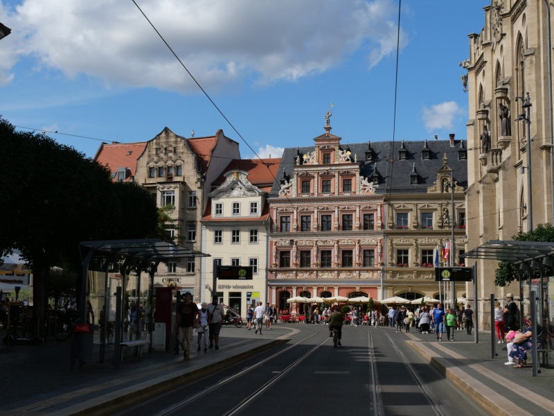 P1168805