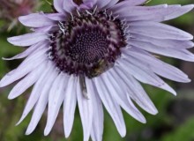 IMG_20260830_100346