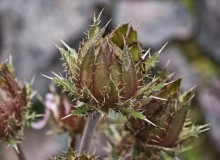 IMG_20260830_100405