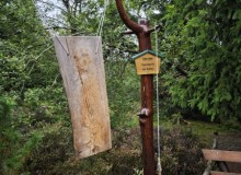 IMG_20260830_101736