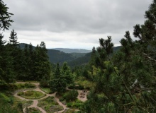 P1158685
