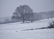 IMG_20260110_101723