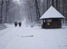 IMG_20260110_104543