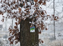 IMG_20260110_110040