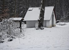 IMG_20260110_142140
