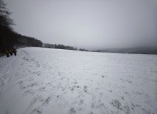 IMG_20260110_151339