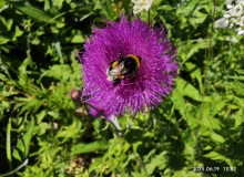 IMG_20250619_135224