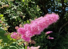 IMG_20250622_100212