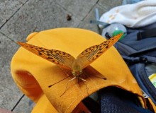 IMG_20250622_113454