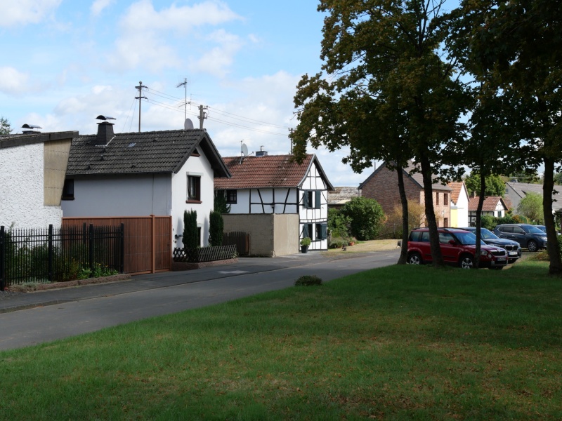 P1168949
