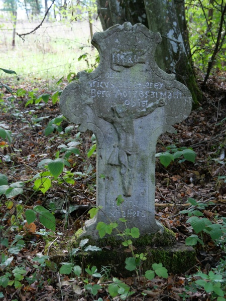 P1168976
