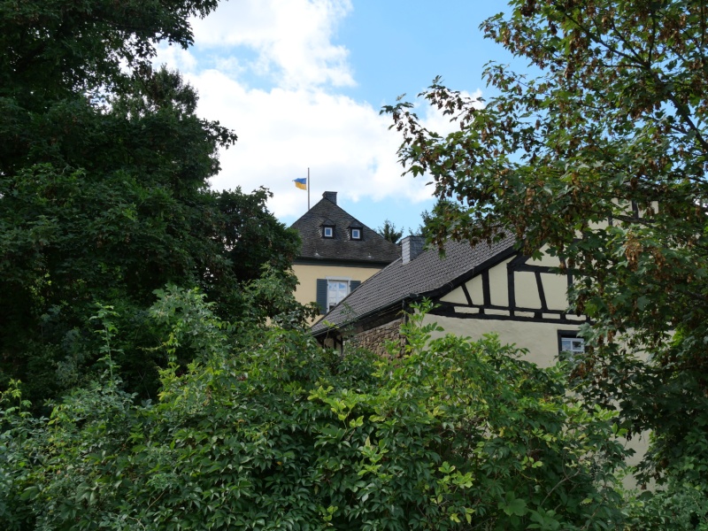 P1168994