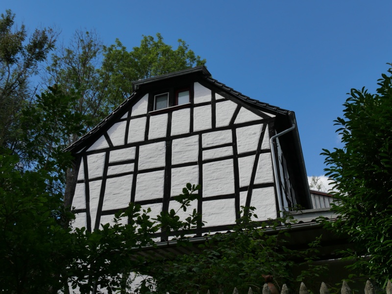 P1169009
